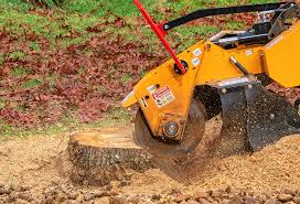  Prince Frederick, MD Tree Removal Pros