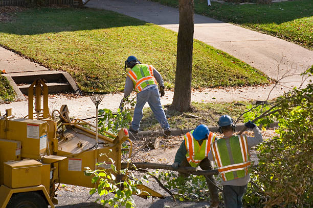 Best Soil Testing and Treatment  in Prince Frederick, MD