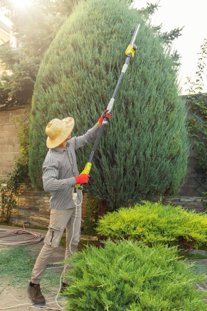 Best Weed Control  in Prince Frederick, MD